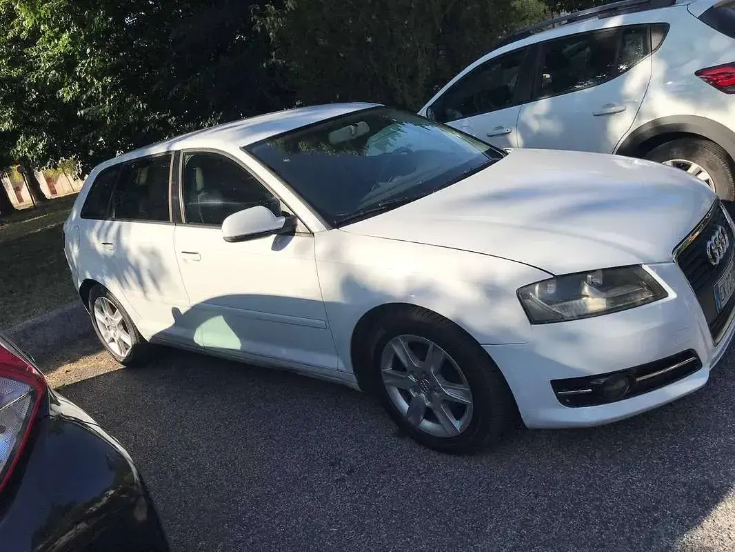 Usata Audi A3 116 CV (85 kW) 2011 Bianco Utilitaria