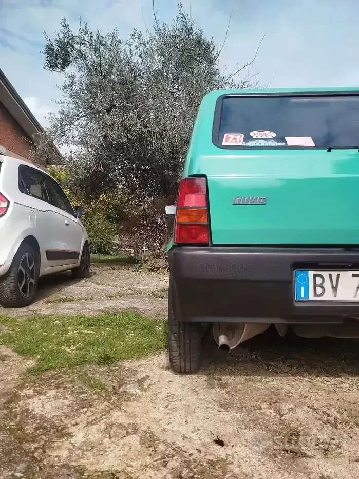 Usata Fiat Panda Young 39 CV (28 kW) 2001 Verde Utilitaria