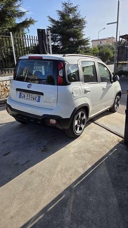 Usata Fiat Panda Cross Cross 69 CV (50 kW) 2023 Utilitaria