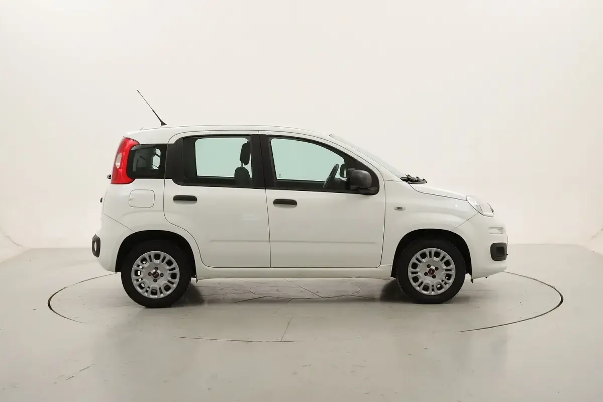 Usata Fiat Panda Easy 69 CV (50 kW) 2019 Utilitaria
