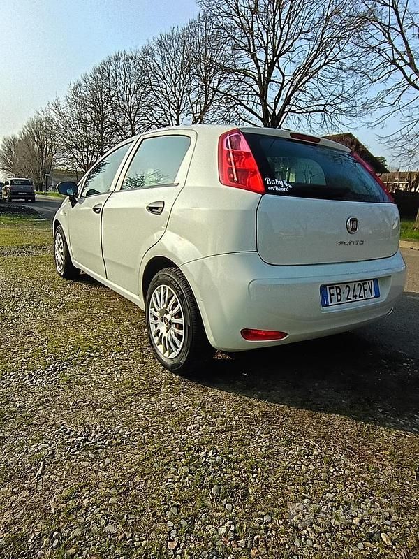 Usata Fiat Punto 2015 Bianco Utilitaria