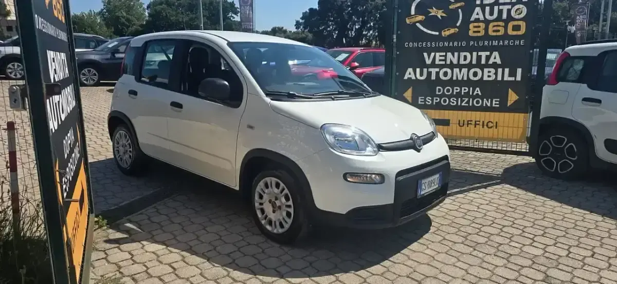 Usata Fiat Panda City Life 69 CV (50 kW) 2023 Utilitaria