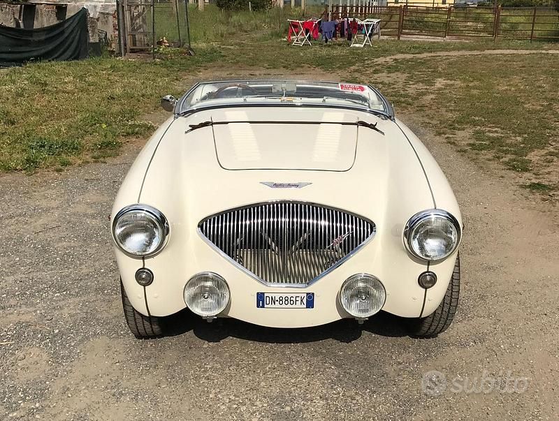 Usata Austin Healey 100 1950 Verde Cabrio