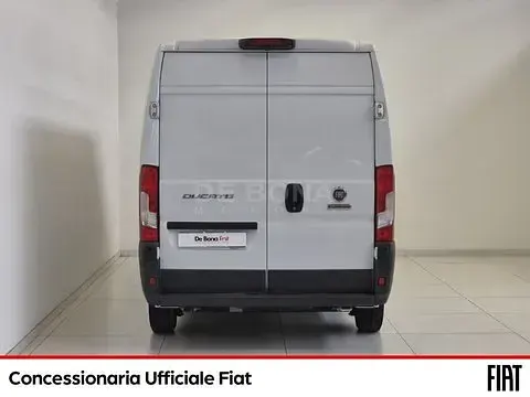 Usata Fiat Ducato 131 CV (96 kW) 2016 Bianco Furgone