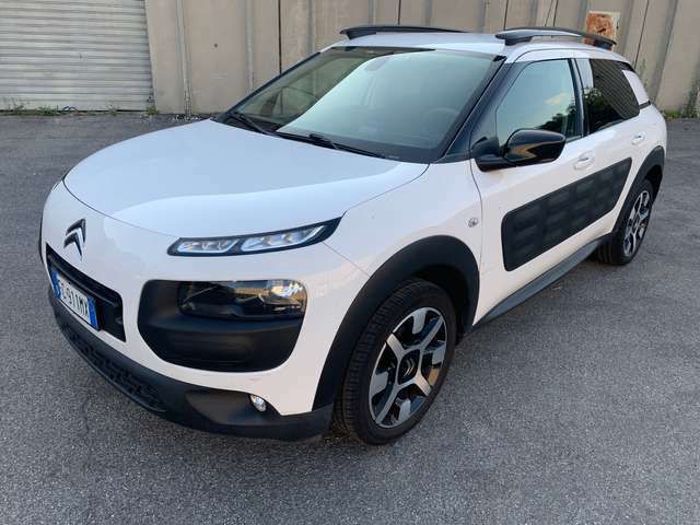 c4 cactus piumini