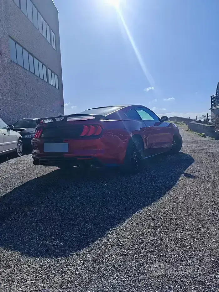 Usata Ford Mustang 290 CV (213 kW) 2023