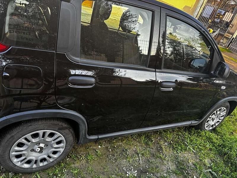Usata Fiat Panda S 69 CV (50 kW) 2024 Utilitaria