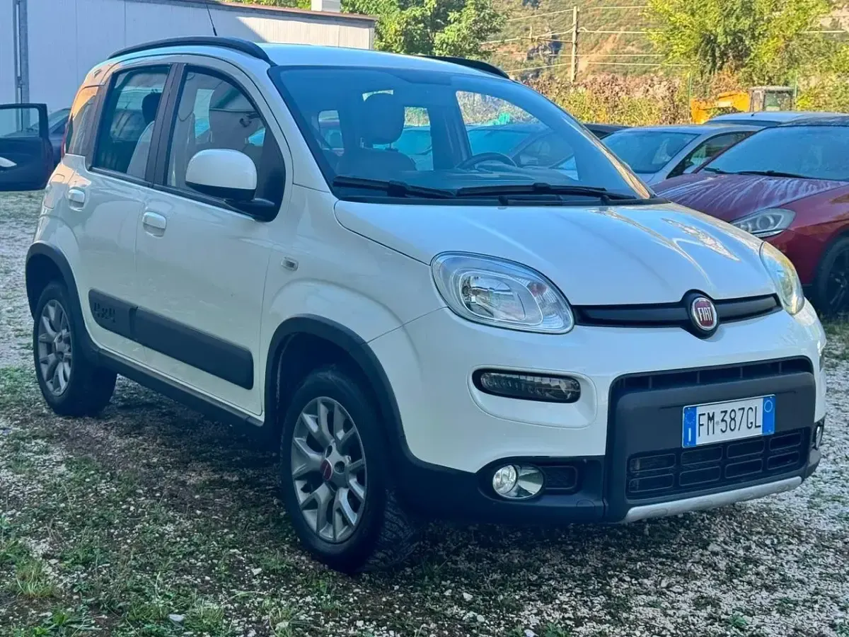 Usata Fiat Panda 4x4 S 80 CV (58 kW) 2017 Bianco Utilitaria