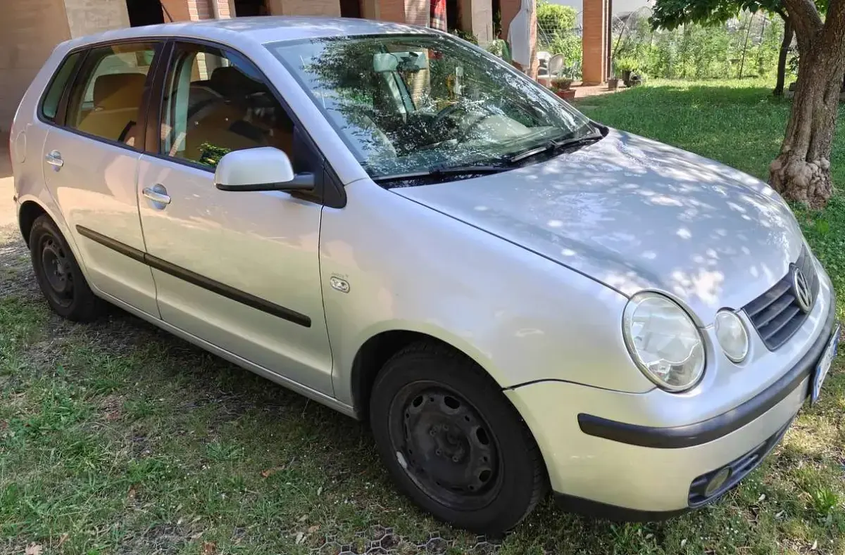 Usata VW Polo Comfortline 64 CV (47 kW) 2004 Grigio Utilitaria
