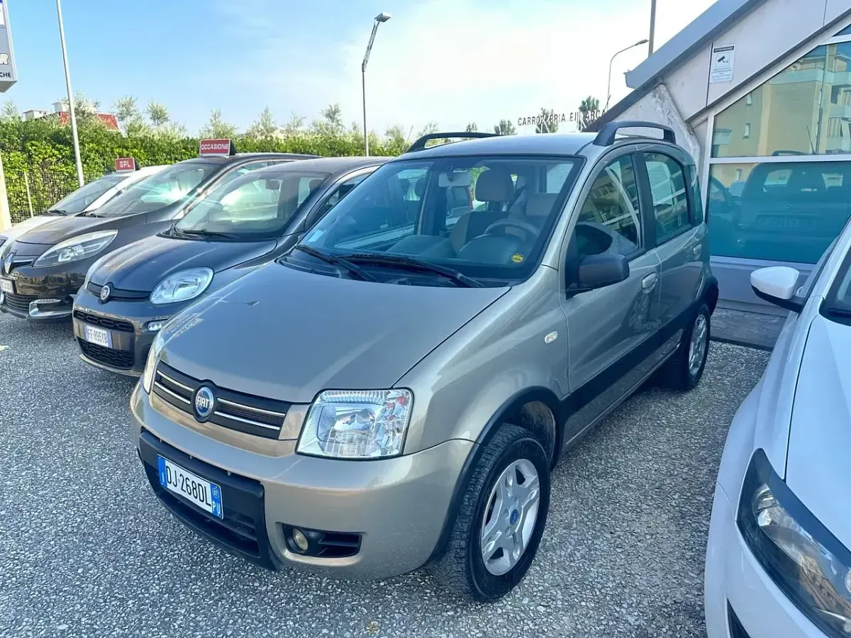 Usata Fiat Panda 4x4 Climbing 75 CV (55 kW) 2007 Grigio Utilitaria