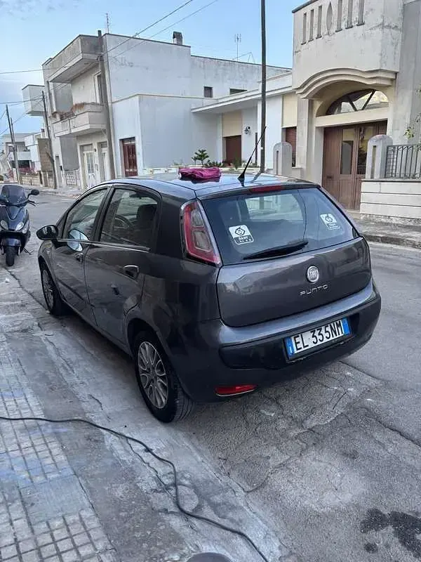 Usata Fiat Punto Evo Dynamic 75 CV (55 kW) 2011 Grigio Utilitaria