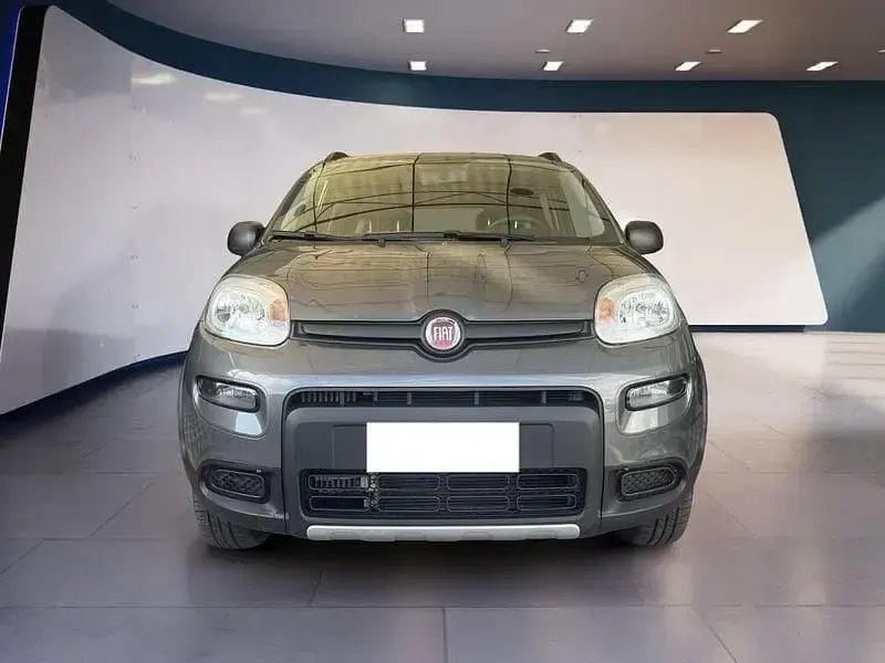 Usata Fiat Panda 4x4 S 85 CV (62 kW) 2020 Giallo Utilitaria