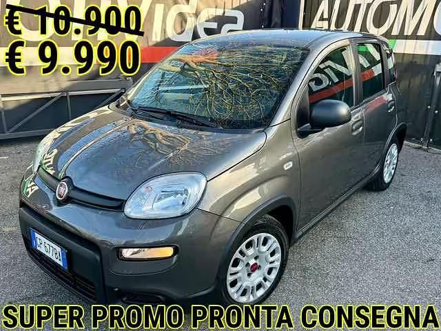 Usata Fiat Panda 69 CV (50 kW) 2023 Grigio Utilitaria