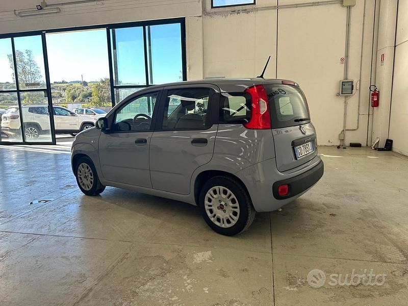 Usata Fiat Panda Easy 70 CV (51 kW) 2021 Grigio Berlina