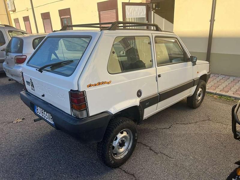 Usata Fiat Panda 4x4 Trekking 54 CV (39 kW) 2000 Bianco Utilitaria
