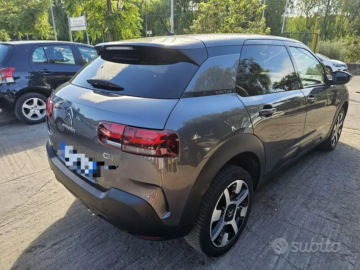 Usata Citroën C4 131 CV (96 kW) 2019 Grigio Berlina