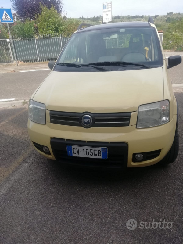 Usato 2005 Fiat Panda 4x4 1.2 Benzin 60 CV (5.000 €)