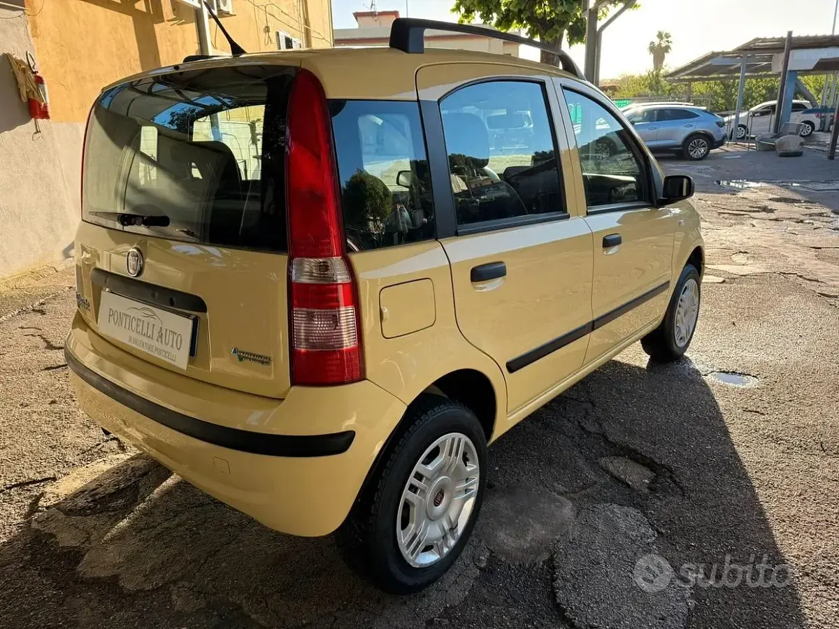 Usata Fiat Panda Dynamic 60 CV (44 kW) 2008 Giallo Utilitaria