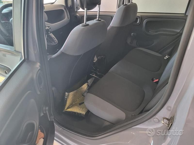 Usata Fiat Panda Easy 69 CV (50 kW) 2019 Grigio Utilitaria