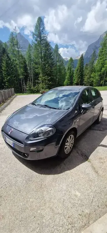 Usata Fiat Punto Lounge 77 CV (56 kW) 2015 Utilitaria