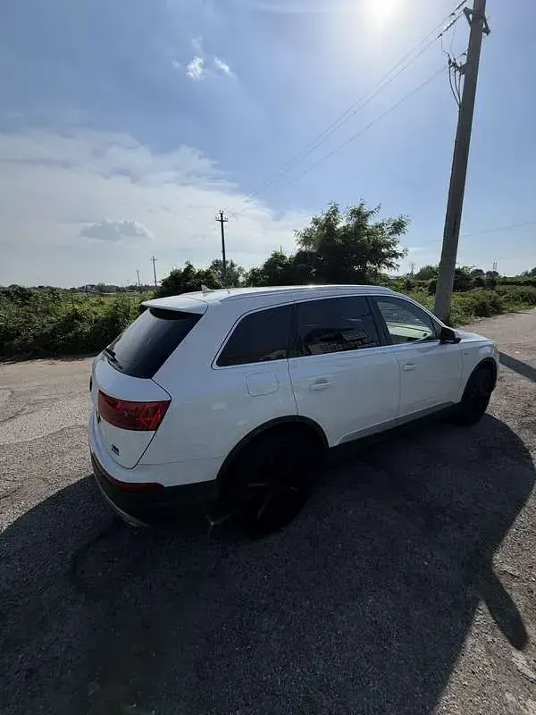 Usata Audi Q7 Business Plus 272 CV (200 kW) 2016 SUV
