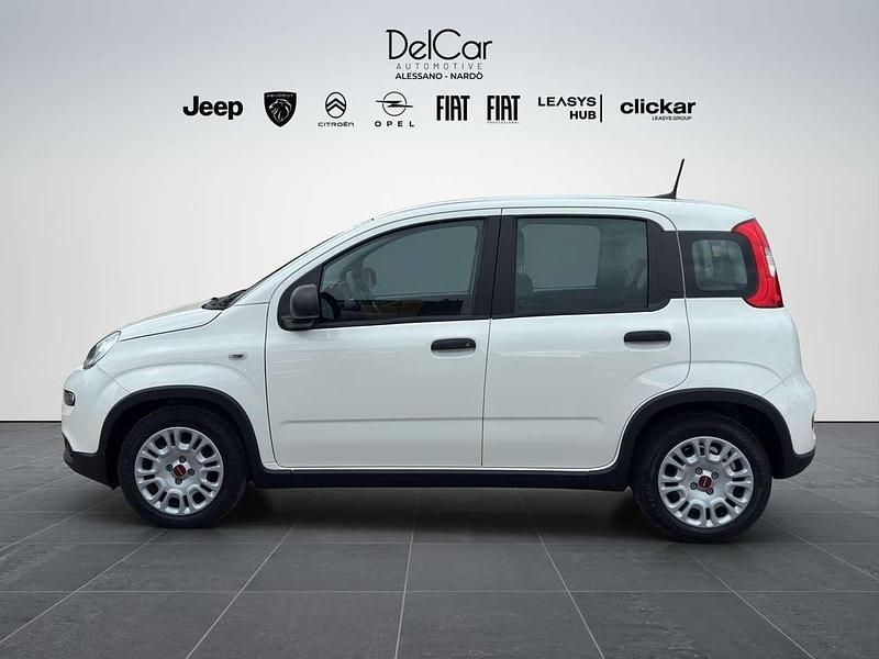 Usata Fiat Panda 69 CV (50 kW) 2023 Bianco Utilitaria