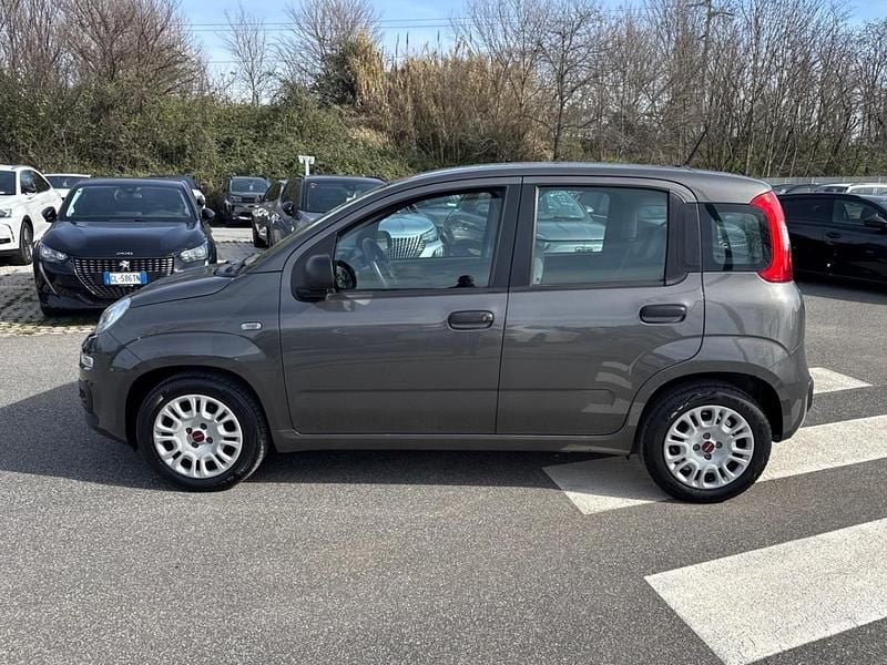 Usata Fiat Panda S 70 CV (51 kW) 2021 Grigio Utilitaria