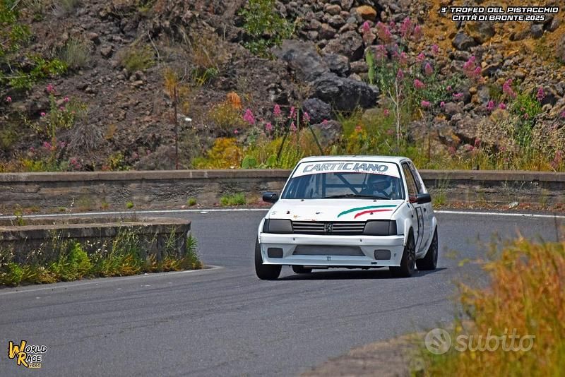 Usata Peugeot 205 1988 Berlina
