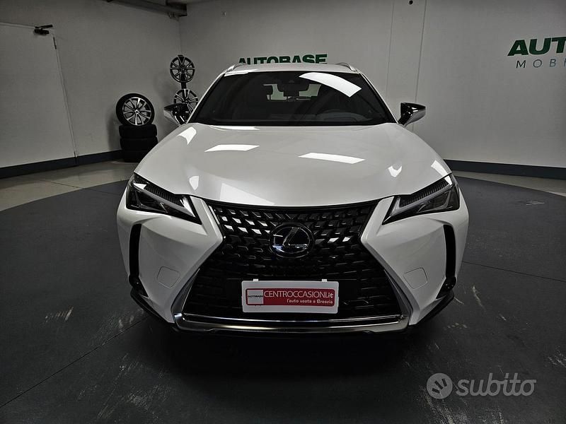Usata Lexus UX 250h Business Edition 2021 Bianco SUV