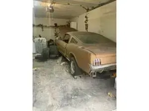 Usata Ford Mustang 203 CV (149 kW) 1965 Marrone Coupé