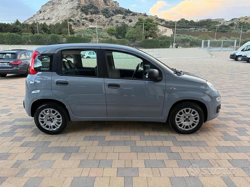 Usata Fiat Panda Easy 69 CV (50 kW) 2020 Grigio Utilitaria