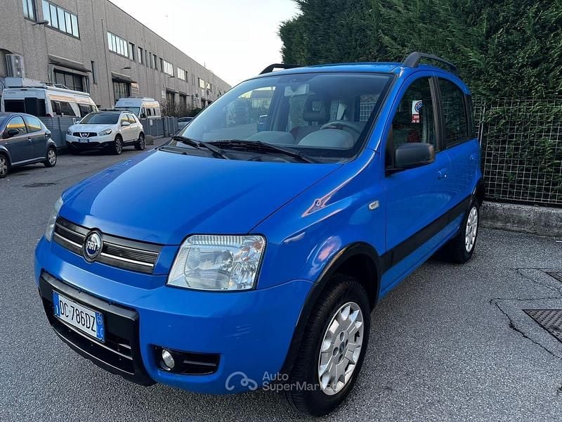 Usata Fiat Panda 4x4 Climbing 60 CV (44 kW) 2006 Other Utilitaria