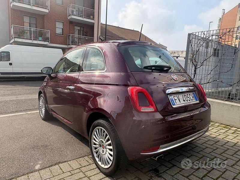 Usata Fiat 500 Lounge 69 CV (50 kW) 2019 Viola Berlina
