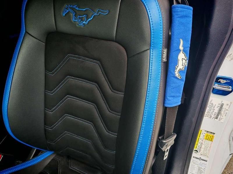 Usata Ford Mustang Fastback 317 CV (233 kW) 2016 Coupé