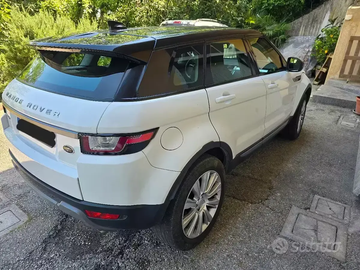 Usata Land Rover Range Rover evoque 150 CV (110 kW) 2017 Bianco SUV
