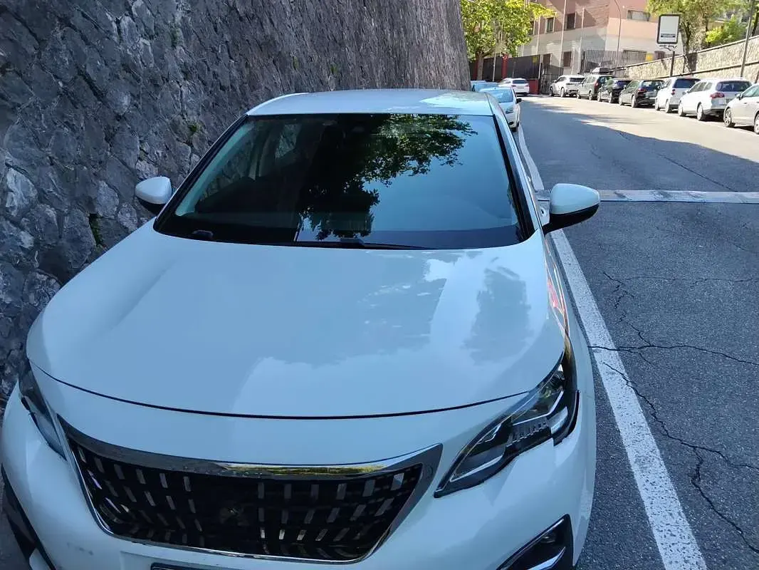 Usata Peugeot 3008 Business-Line 131 CV (96 kW) 2019 Bianco SUV