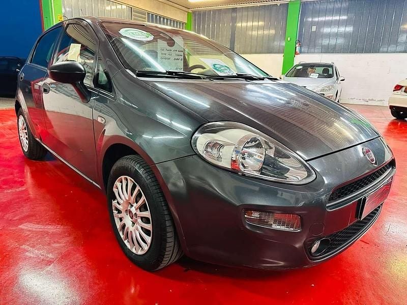 Usata Fiat Punto Lounge 69 CV (50 kW) 2016 Grigio Utilitaria