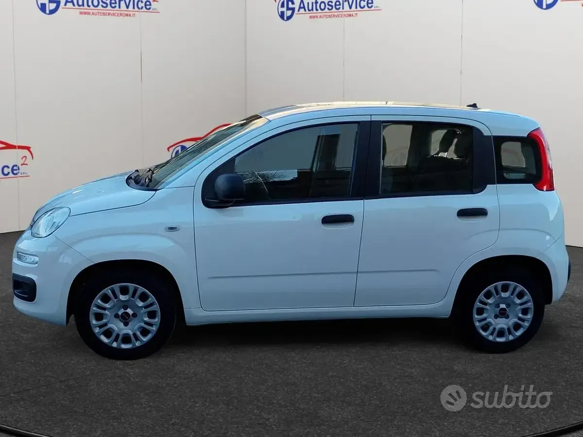 Usata Fiat Panda Easy 69 CV (50 kW) 2020 Bianco Utilitaria