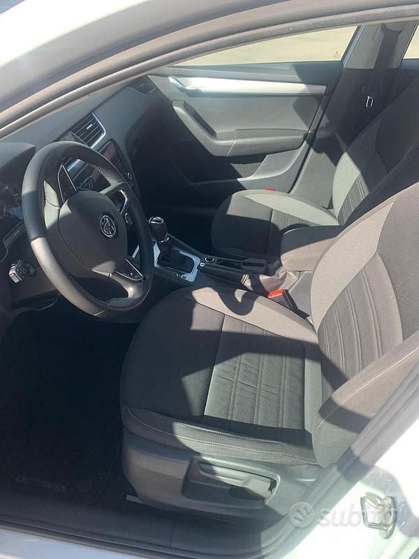 Usata Skoda Octavia G-TEC Executive 130 CV (95 kW) 2020 Bianco Station wagon