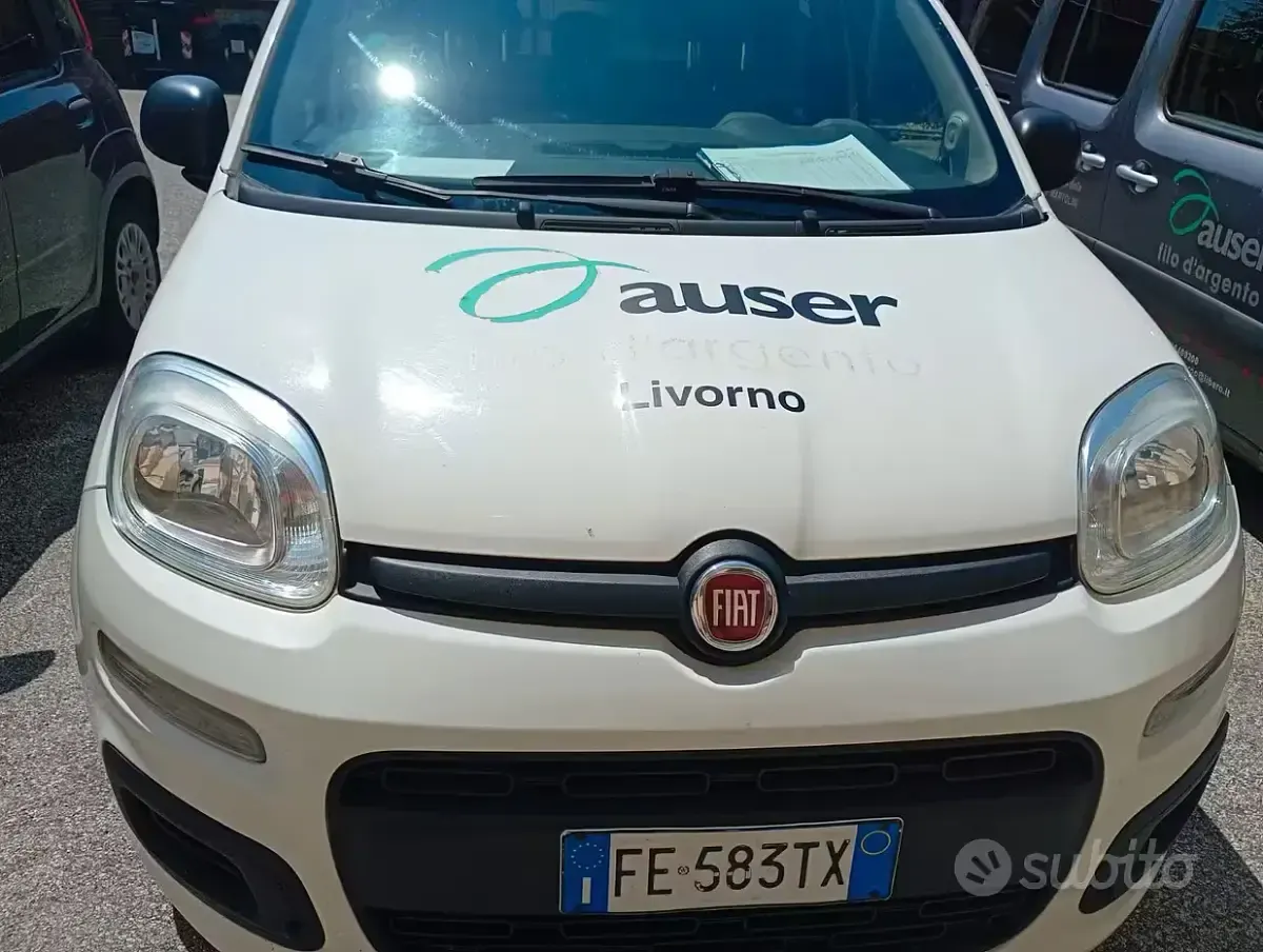 Usata Fiat Panda 69 CV (50 kW) 2016 Bianco Utilitaria