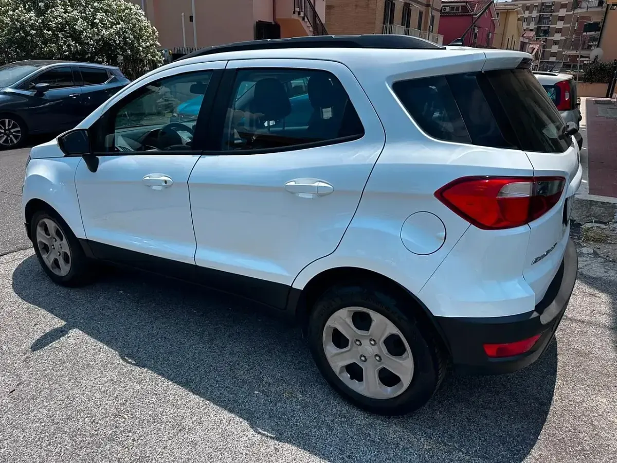 Usata Ford Ecosport Business Edition 99 CV (72 kW) 2019 Bianco SUV