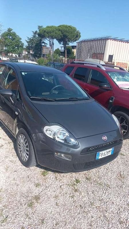 Usata Fiat Punto Lounge 69 CV (50 kW) 2016 Grigio Berlina