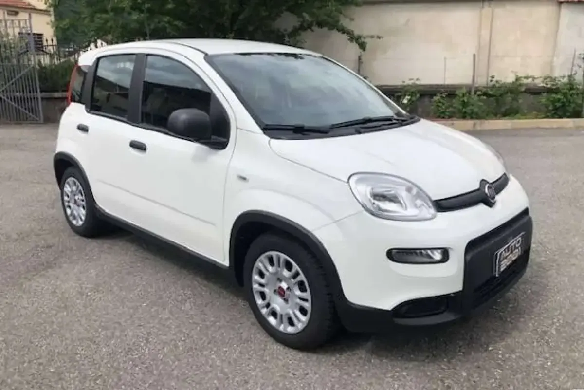 Usata Fiat Panda City Life 69 CV (50 kW) 2023 Bianco pastello Utilitaria