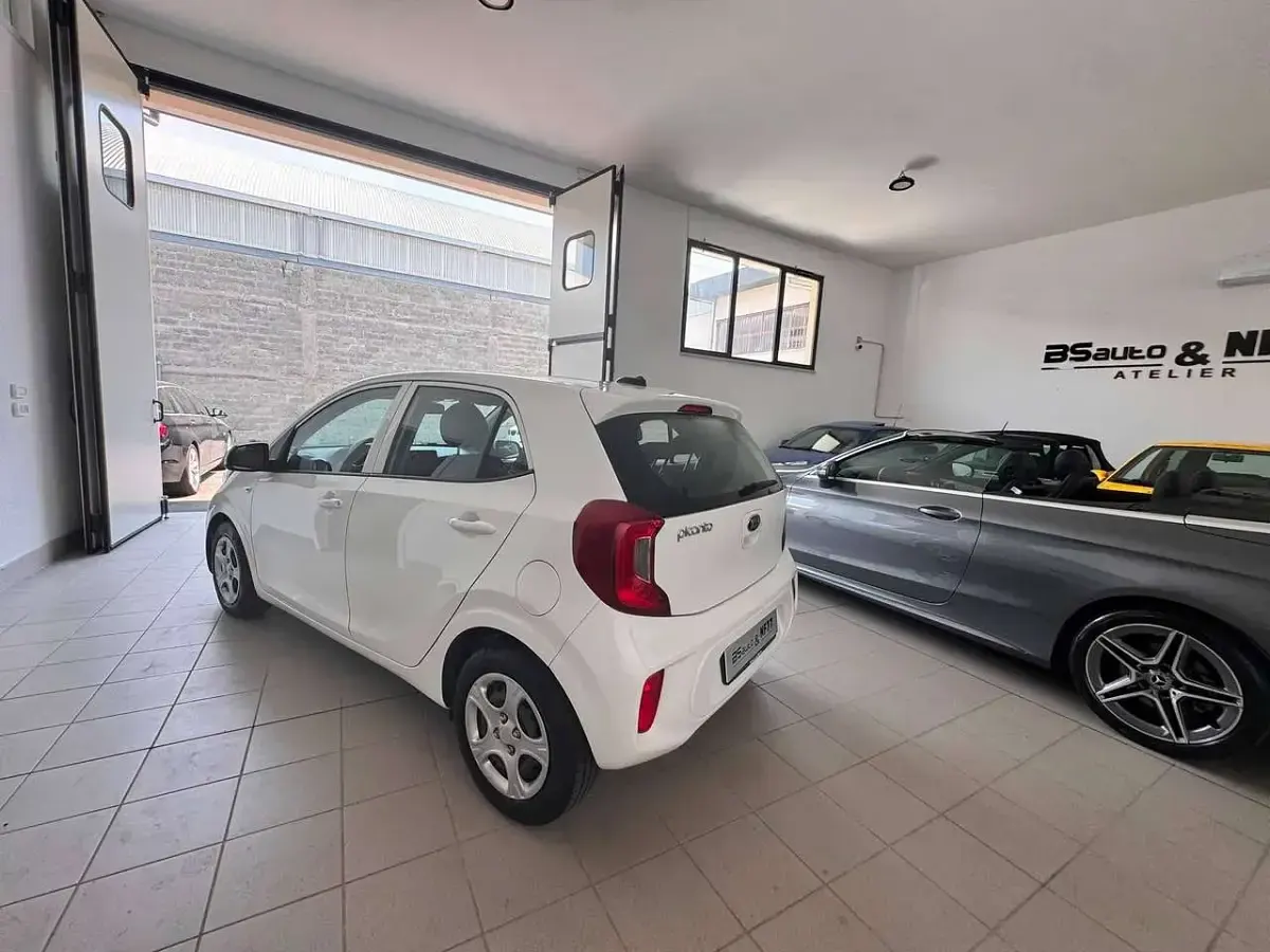 Usata Kia Picanto Urban 67 CV (49 kW) 2021 Bianco Utilitaria