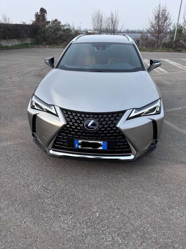 Usato 2019 Lexus UX 2.0 El_Benzin 145 CV (24.000 €)