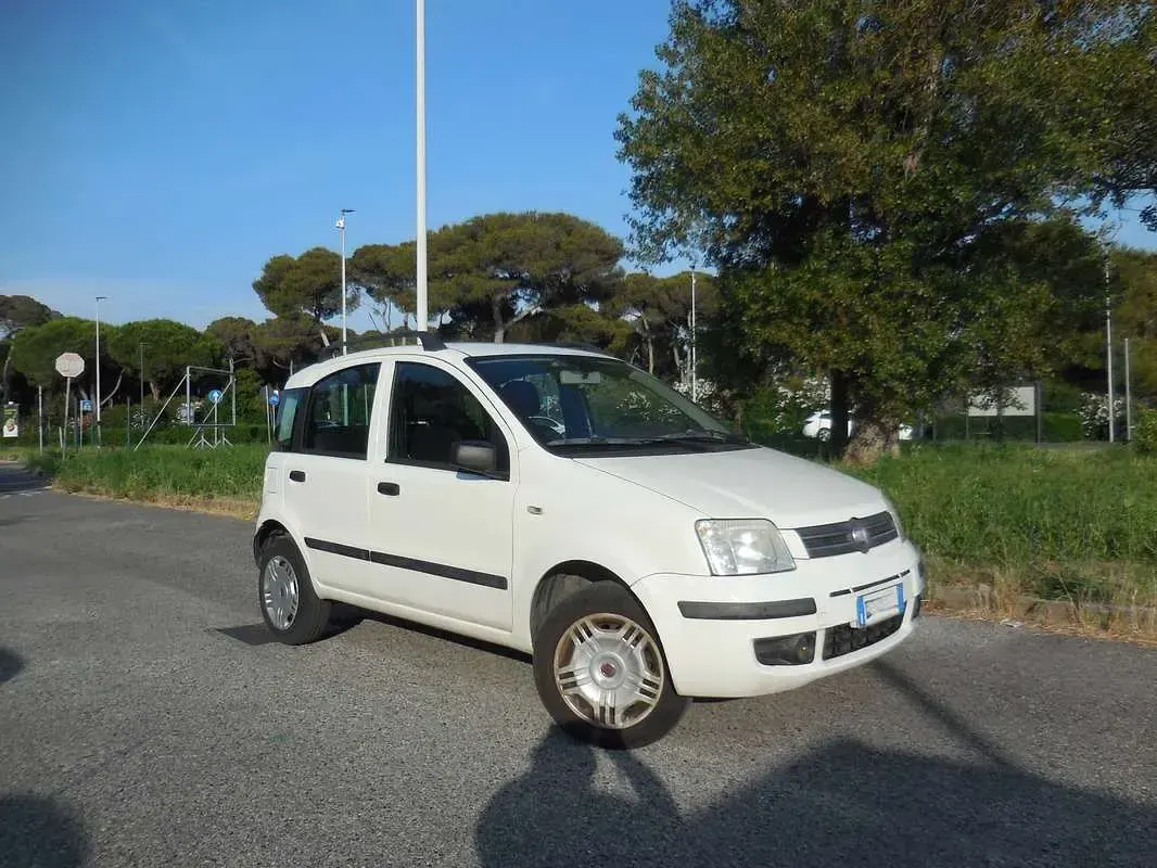 Usata Fiat Panda Dynamic 60 CV (44 kW) 2009 Bianco Utilitaria