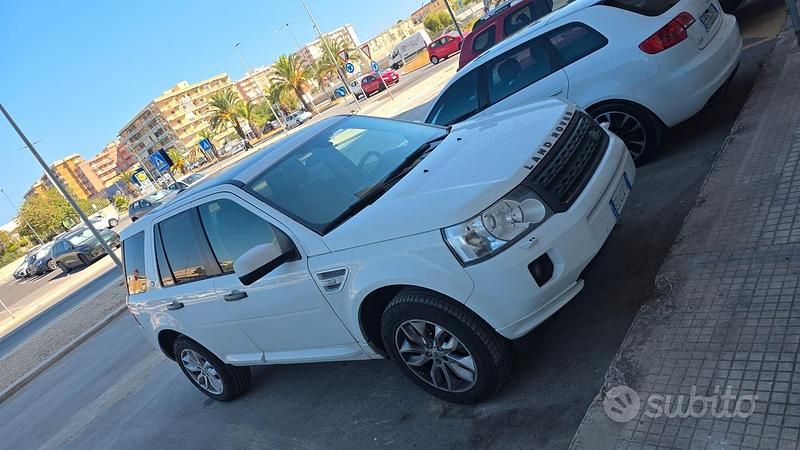 Usata Land Rover Freelander 2 190 CV (139 kW) 2010 Bianco SUV
