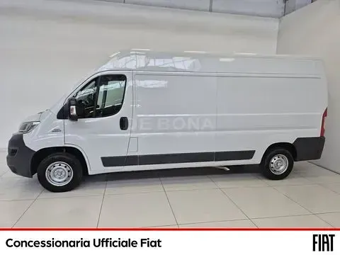 Usata Fiat Ducato 131 CV (96 kW) 2016 Bianco Furgone