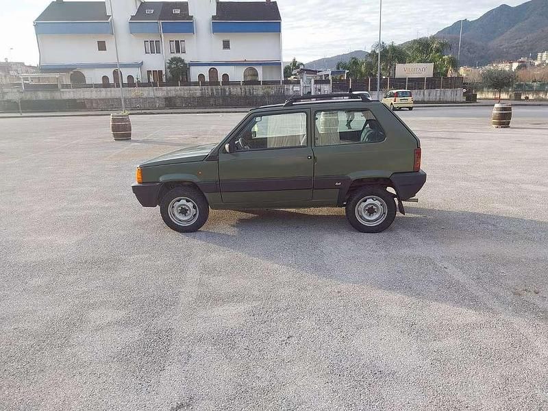 Usata Fiat Panda 4x4 Trekking 54 CV (39 kW) 2004 Verde Utilitaria