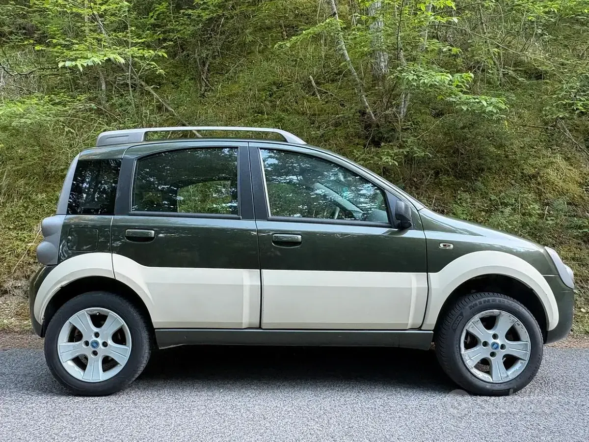 Usata Fiat Panda 4x4 Cross 69 CV (50 kW) 2006 Utilitaria